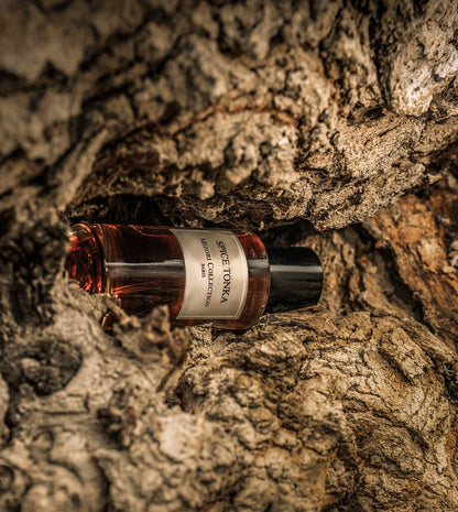 Mizori Collection Paris Spice Tonka 50ML Eau De Parfum – Warm, unisex fragrance with tonka bean, spices, and vanilla, offering a sophisticated, long-lasting scent.